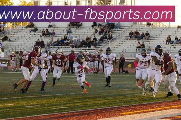 App Interface Preview